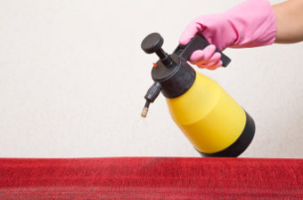 Furniture Cleaners and Protectors